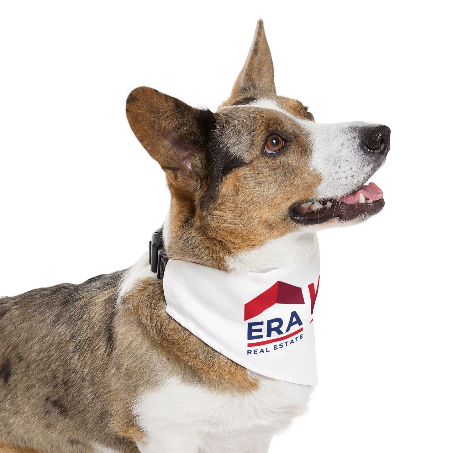 Pet Bandana Collar
